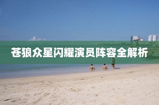 苍狼众星闪耀演员阵容全解析