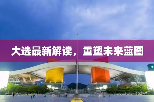 大选最新解读，重塑未来蓝图