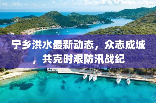 宁乡洪水最新动态，众志成城，共克时艰防汛战纪