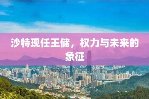 沙特现任王储，权力与未来的象征