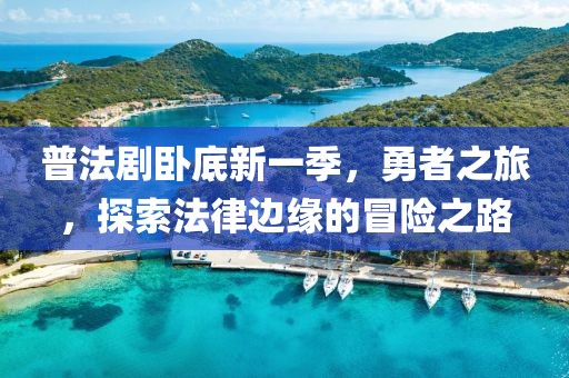 普法剧卧底新一季，勇者之旅，探索法律边缘的冒险之路