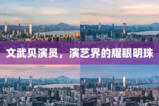 文武贝演员，演艺界的耀眼明珠