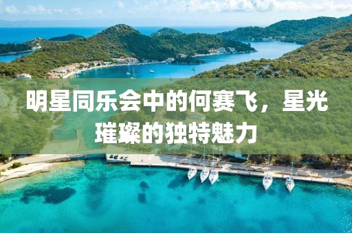 明星同乐会中的何赛飞，星光璀璨的独特魅力