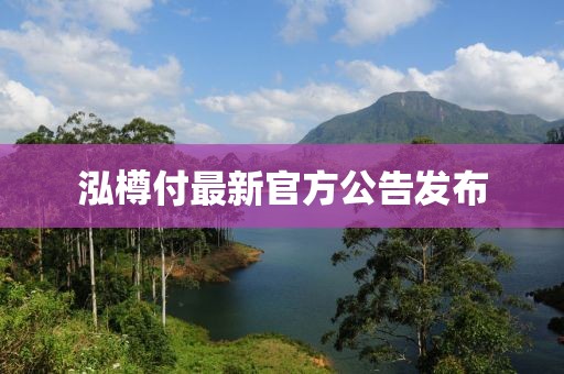 泓樽付最新官方公告发布