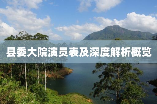 县委大院演员表及深度解析概览