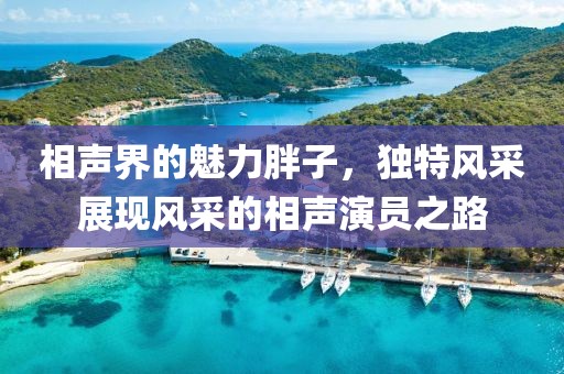 相声界的魅力胖子，独特风采展现风采的相声演员之路