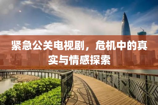 紧急公关电视剧，危机中的真实与情感探索