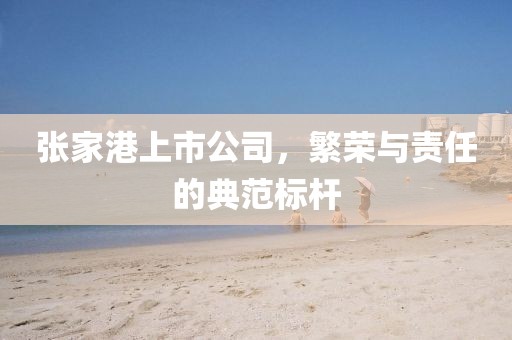 张家港上市公司，繁荣与责任的典范标杆