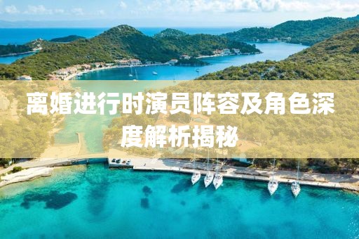 离婚进行时演员阵容及角色深度解析揭秘