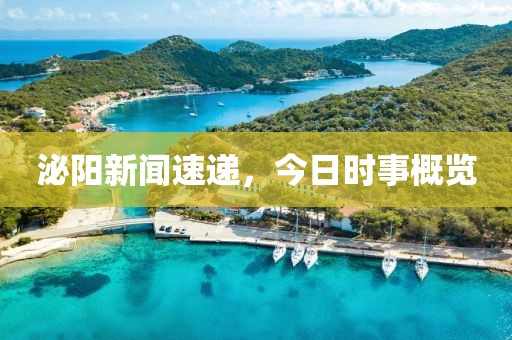 泌阳新闻速递，今日时事概览