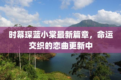时幕琛蓝小棠最新篇章，命运交织的恋曲更新中