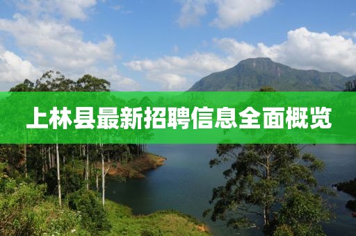 上林县最新招聘信息全面概览