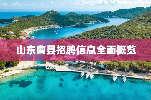 山东曹县招聘信息全面概览