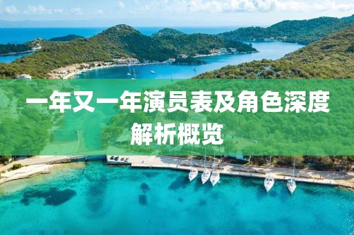 一年又一年演员表及角色深度解析概览