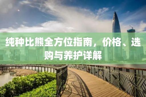 纯种比熊全方位指南，价格、选购与养护详解