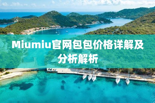 Miumiu官网包包价格详解及分析解析