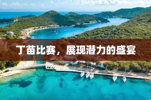 丁苗比赛，展现潜力的盛宴