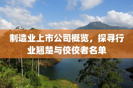 制造业上市公司概览，探寻行业翘楚与佼佼者名单
