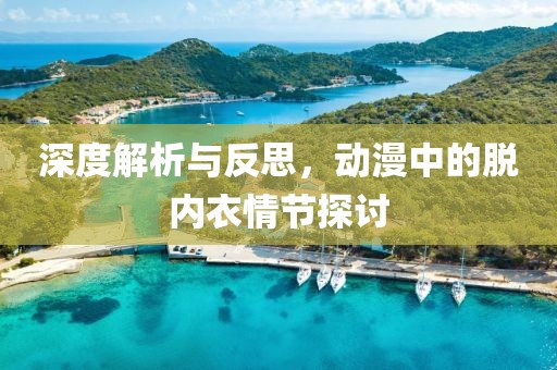 深度解析与反思，动漫中的脱内衣情节探讨