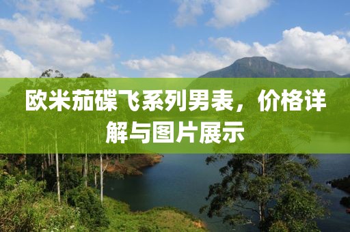 欧米茄碟飞系列男表，价格详解与图片展示