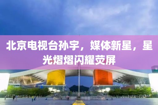北京电视台孙宇，媒体新星，星光熠熠闪耀荧屏