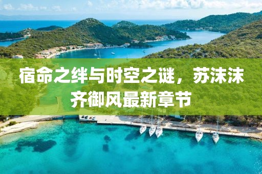 宿命之绊与时空之谜，苏沫沫齐御风最新章节