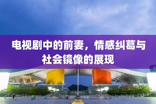 电视剧中的前妻，情感纠葛与社会镜像的展现