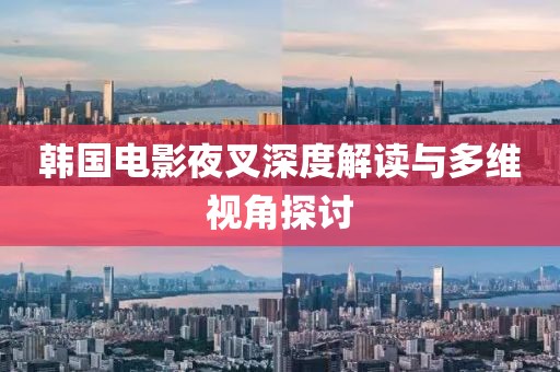 韩国电影夜叉深度解读与多维视角探讨