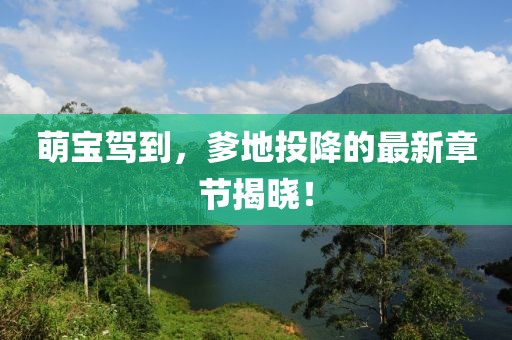 萌宝驾到，爹地投降的最新章节揭晓！