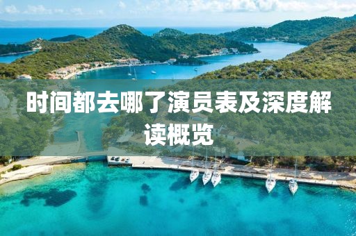 时间都去哪了演员表及深度解读概览