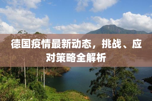 德国疫情最新动态，挑战、应对策略全解析