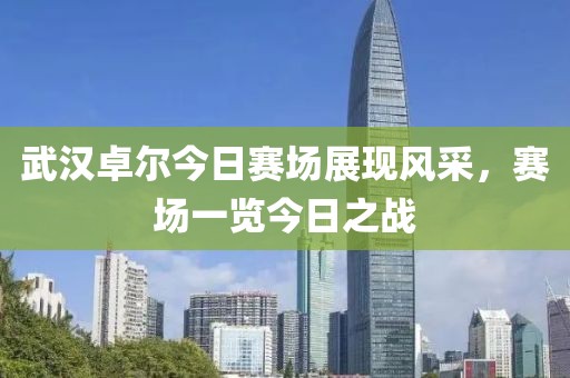武汉卓尔今日赛场展现风采，赛场一览今日之战