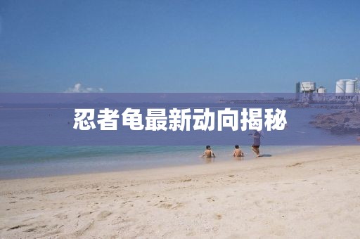 忍者龟最新动向揭秘