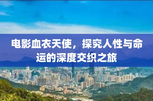 电影血衣天使，探究人性与命运的深度交织之旅