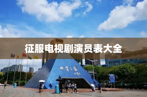 征服电视剧演员表大全