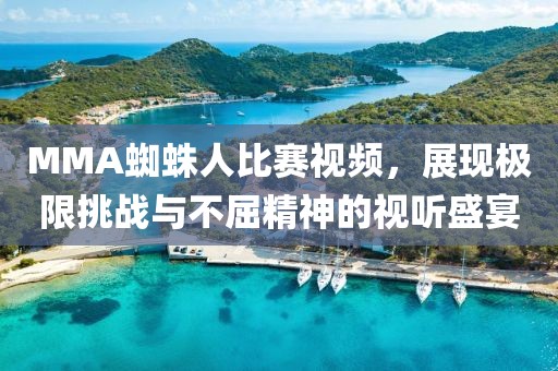 MMA蜘蛛人比赛视频，展现极限挑战与不屈精神的视听盛宴