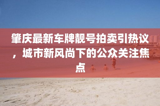 肇庆最新车牌靓号拍卖引热议，城市新风尚下的公众关注焦点