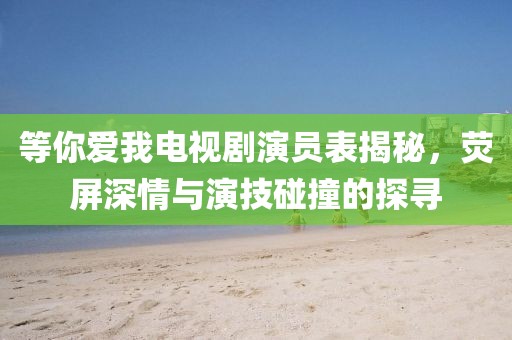 等你爱我电视剧演员表揭秘，荧屏深情与演技碰撞的探寻