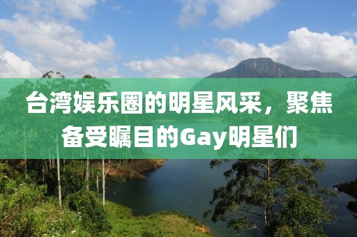 台湾娱乐圈的明星风采，聚焦备受瞩目的Gay明星们