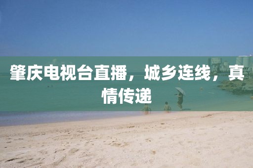 肇庆电视台直播，城乡连线，真情传递