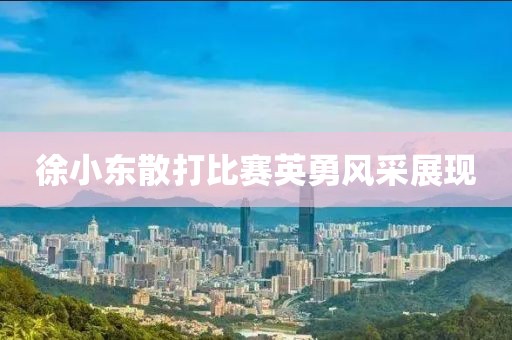 徐小东散打比赛英勇风采展现