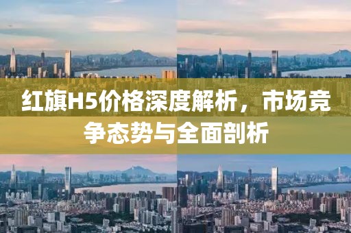 红旗H5价格深度解析，市场竞争态势与全面剖析