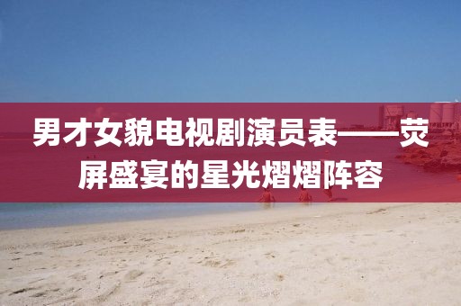 男才女貌电视剧演员表——荧屏盛宴的星光熠熠阵容