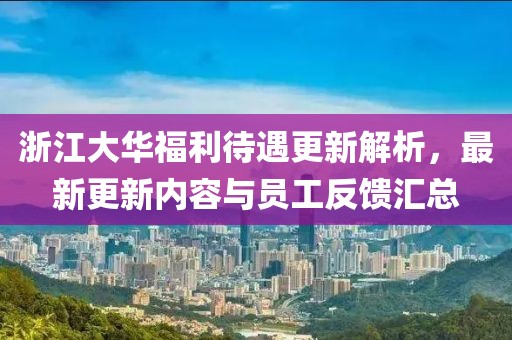 浙江大华福利待遇更新解析，最新更新内容与员工反馈汇总