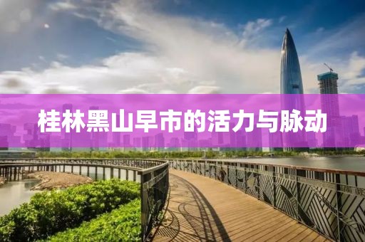 桂林黑山早市的活力与脉动