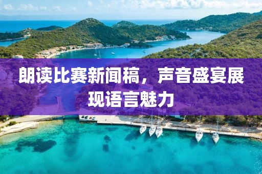 朗读比赛新闻稿，声音盛宴展现语言魅力