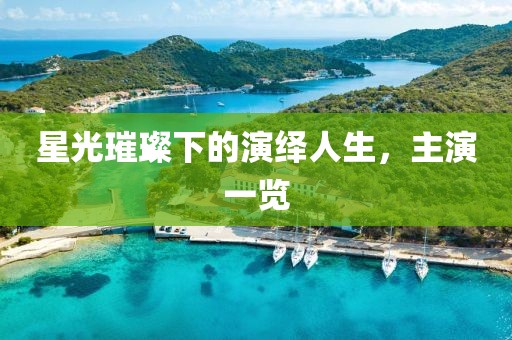 星光璀璨下的演绎人生，主演一览