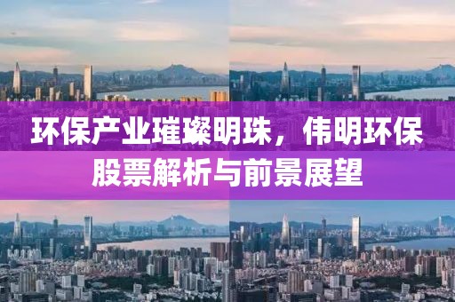 环保产业璀璨明珠，伟明环保股票解析与前景展望