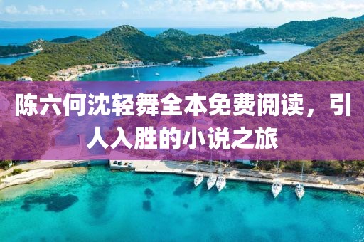陈六何沈轻舞全本免费阅读，引人入胜的小说之旅