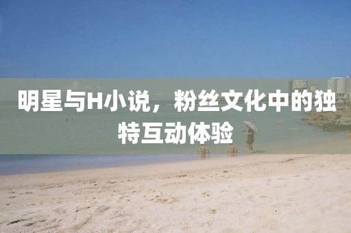 明星与H小说，粉丝文化中的独特互动体验